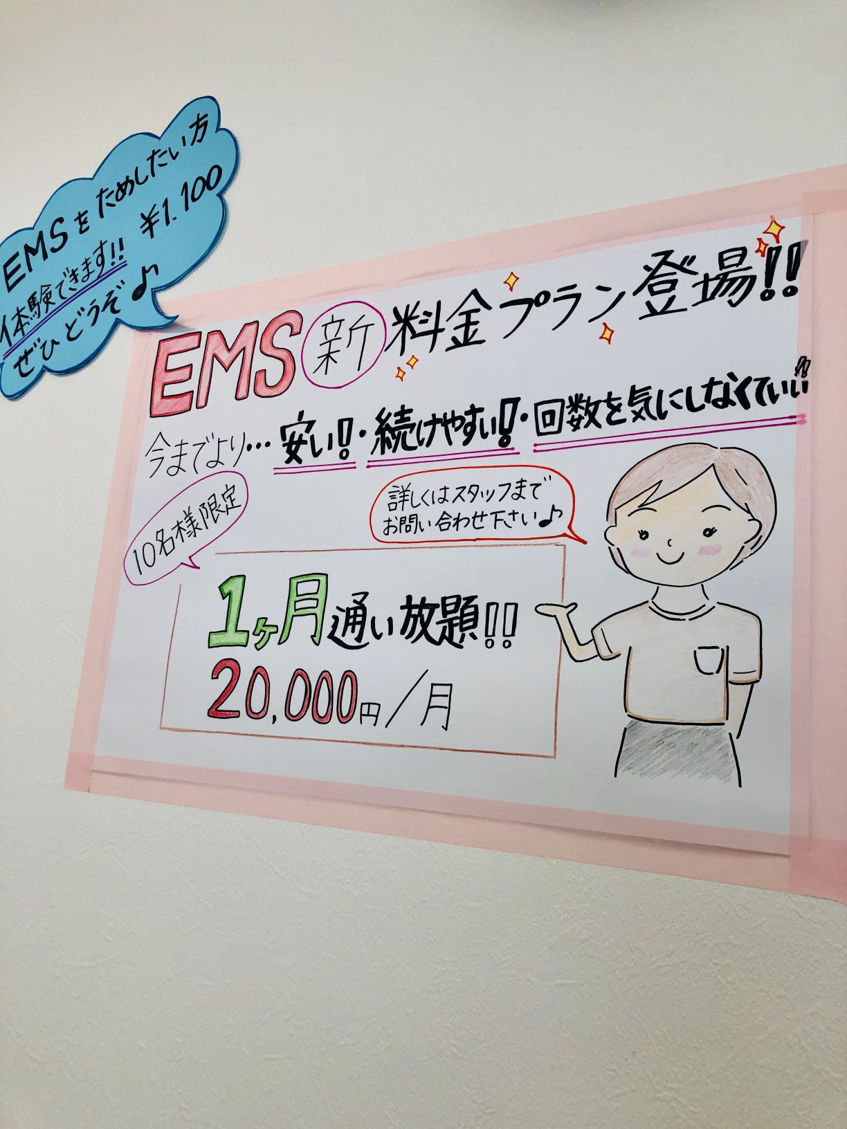 料金 ems